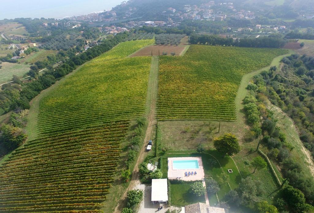 Villa Marchetti 滨海库普拉 外观 照片