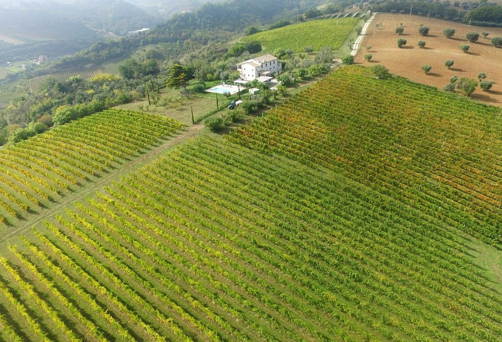 Villa Marchetti 滨海库普拉 外观 照片